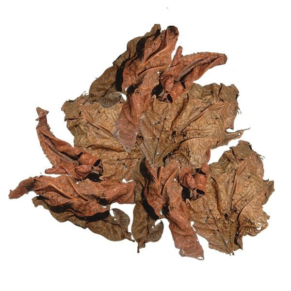 FEUILLES DE DJEKA 2 achetés + 1 offert