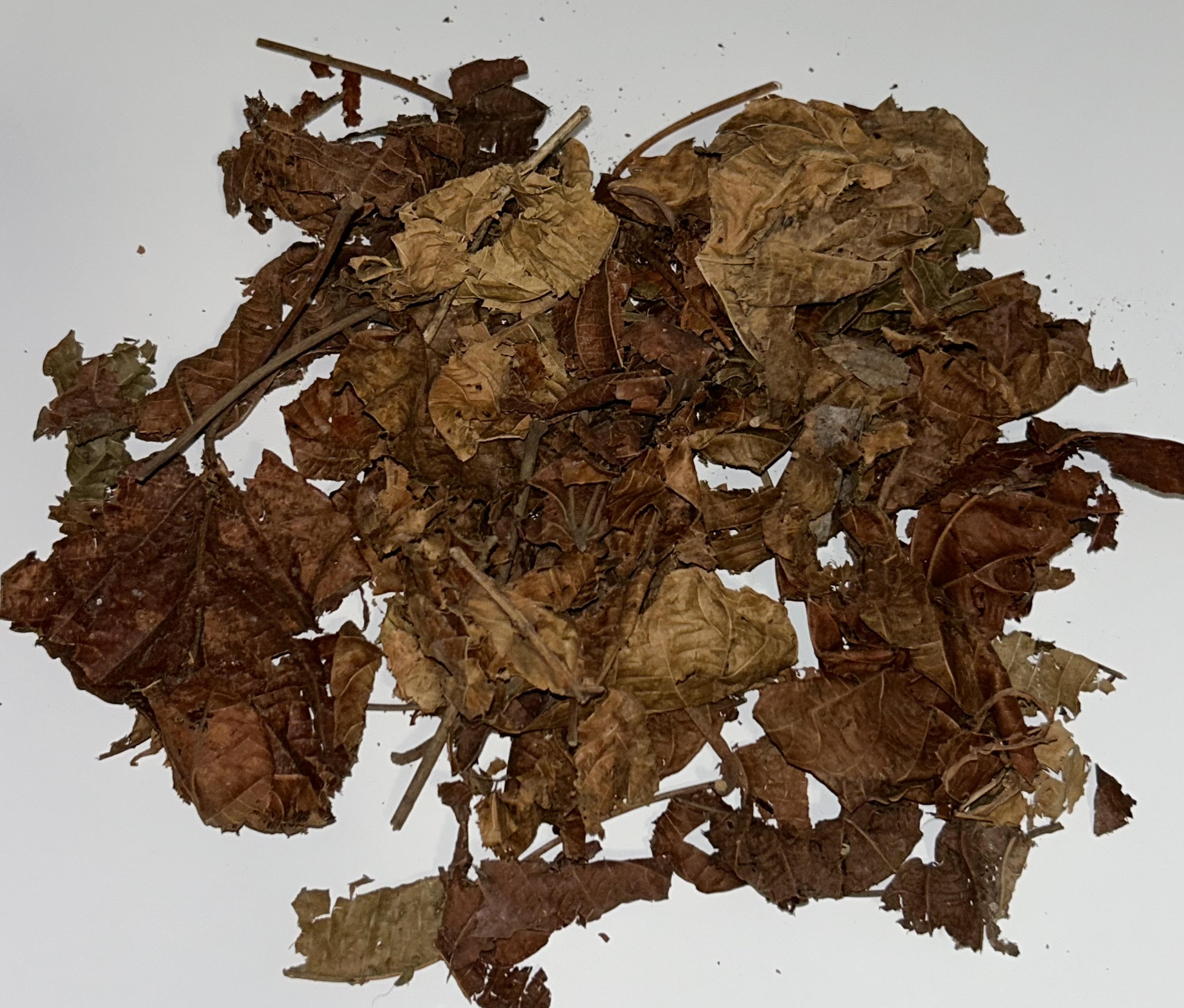 FEUILLES DE DJEKA 2 achetés + 1 offert
